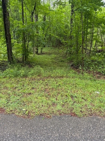 900 Farm Loop Rd, Alexander City, AL 35010