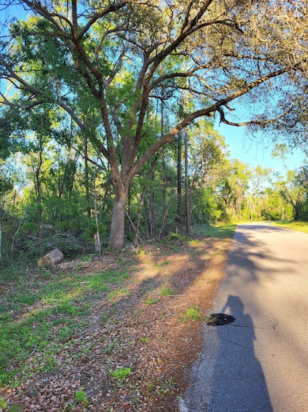 Lot 21 Canopy Ln, Perry, FL 32347