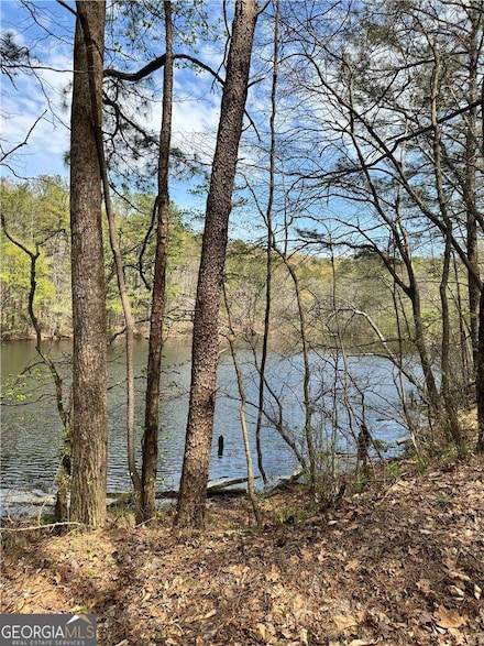 3 Meadowlands Dr, Talking Rock, GA 30175