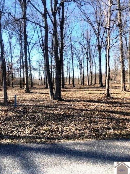 1915 Debby Dr, Paducah, KY 42003
