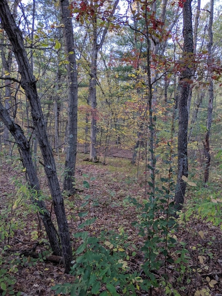 0 S V L Stakes Rd, Gowen, MI 49326