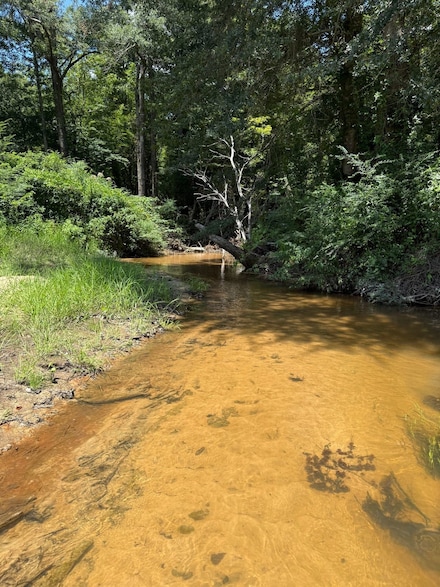 0 Brooksville Rd, Louisville, MS 39339