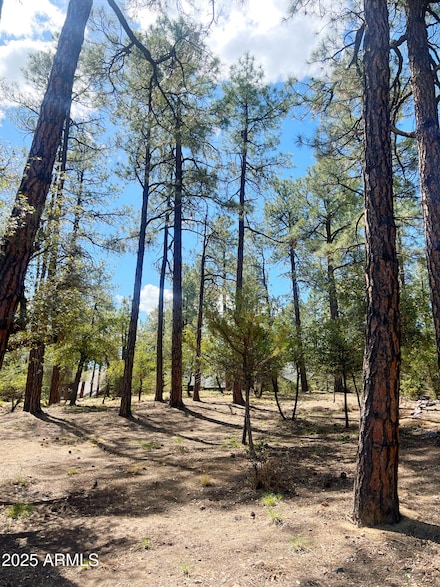 1969 Pine Tree Dr Unit 26, Prescott, AZ 86303