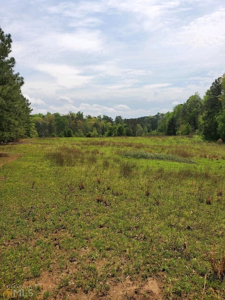0 Old Highway 138 Tract 1, Oxford, GA 30054