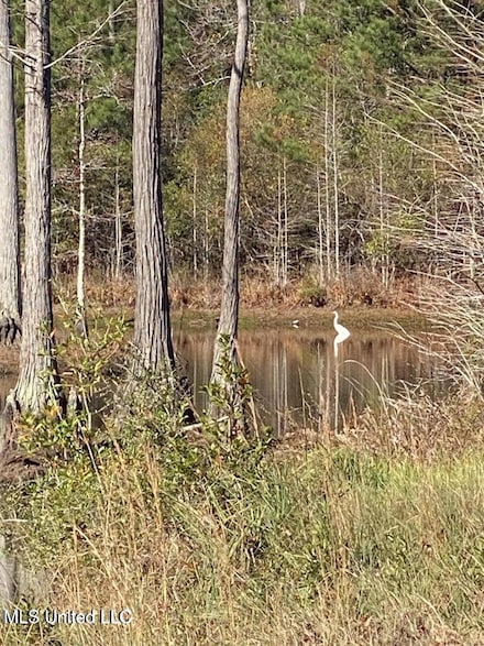 0 Old Hwy 49 Unit 4109487, Gulfport, MS 39503