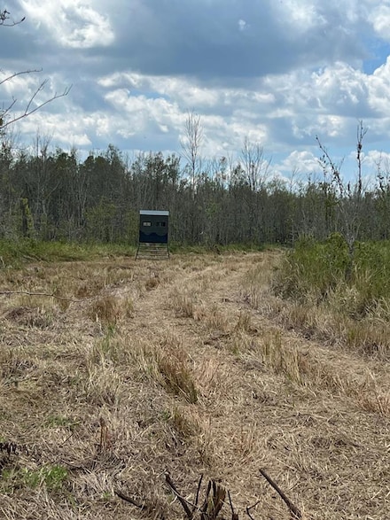 R11553 Texas 12, Deweyville, TX 77614