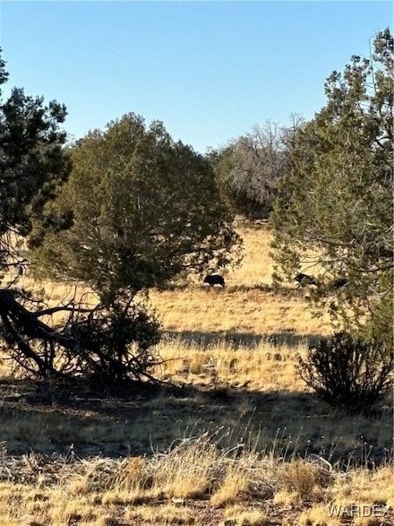 070B Denny, Seligman, AZ 86337