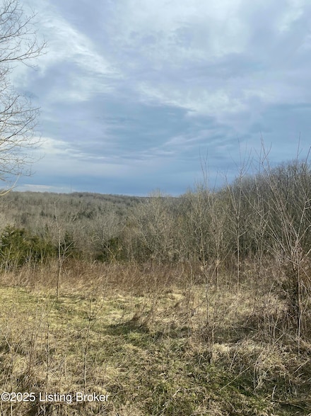 0 Sweeny Ridge Rd Unit 1680593, Chaplin, KY 40012