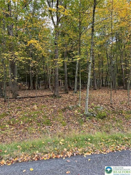 289 Forest Dr, Price Township, PA 18325