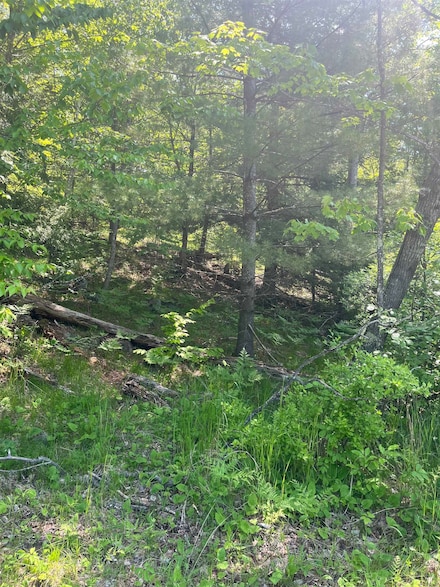 0 Lake John Rd Unit 50307985, Lakewood, WI 54138