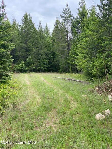 NNA Forsgren Lane Lot 1, Athol, ID 83801