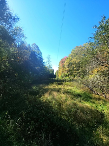 6290 Hollywood Glace Rd, Gap Mills, WV 24941