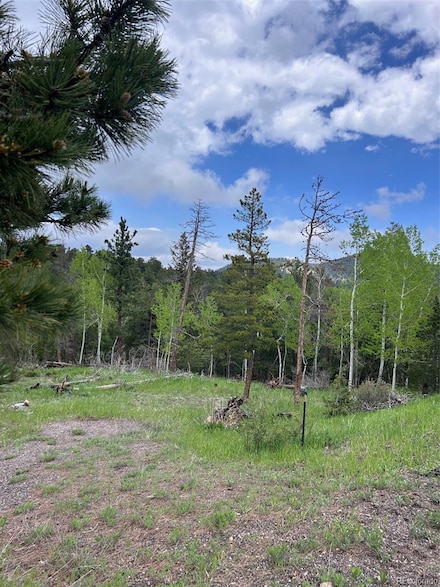 31755 Lillis Place, Golden, CO 80403