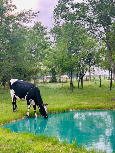 6AC County Road 930, Mexia, TX 76667
