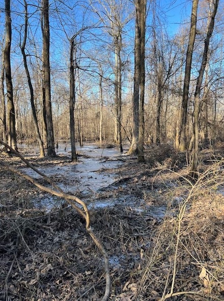 Madden Bridge Rd, Holly Grove, AR 72069