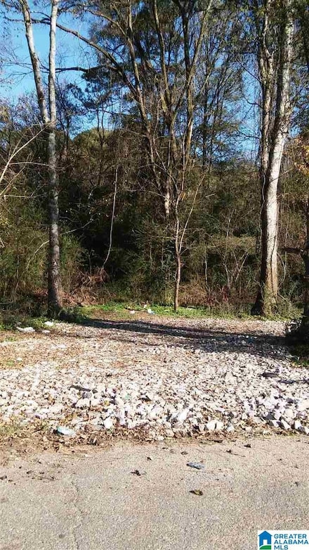 9603 Marshall Ave, Birmingham, AL 35217