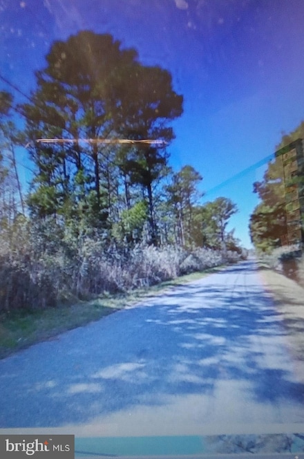 Parcel 10 Calvary Rd, Crisfield, MD 21817