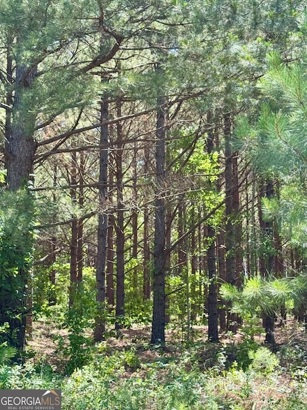 0 Sheppard Rd Unit 10545353, Tennille, GA 31089