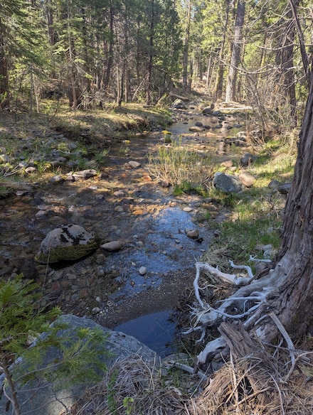 0 Texas Hill Rd, Emigrant Gap, CA 95715