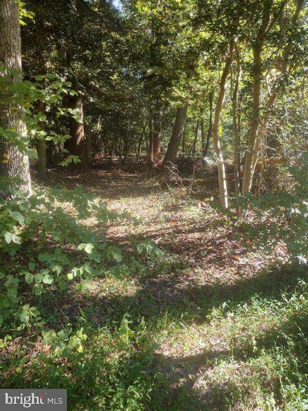 5940 Barberry Trail, Mason Neck, VA 22079