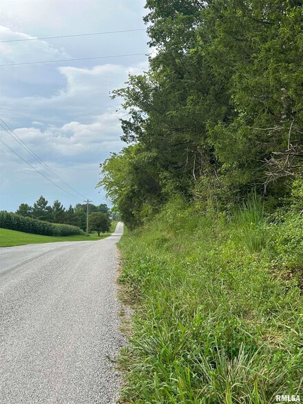 1040 Blueberry Hill Rd, Cobden, IL 62920