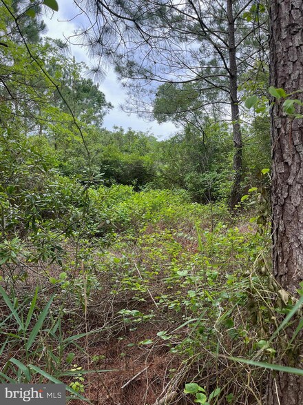 0 Boone Rd Unit PARCEL 1290, Crisfield, MD 21817