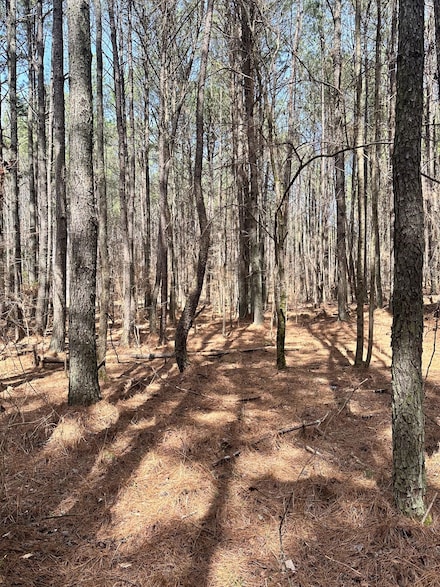 0 Autry Rd SW Unit 23053843, Plainville, GA 30733