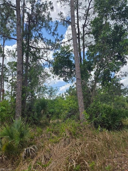 2556 Randall Blvd, Naples, FL 34120