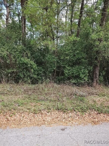 3665 S Diamond Ave, Inverness Highlands South, FL 34452