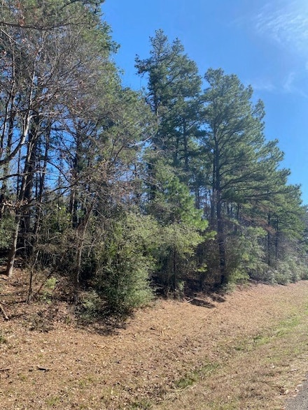 TBD Farm To Market Road 3178, Centerville, TX 75833
