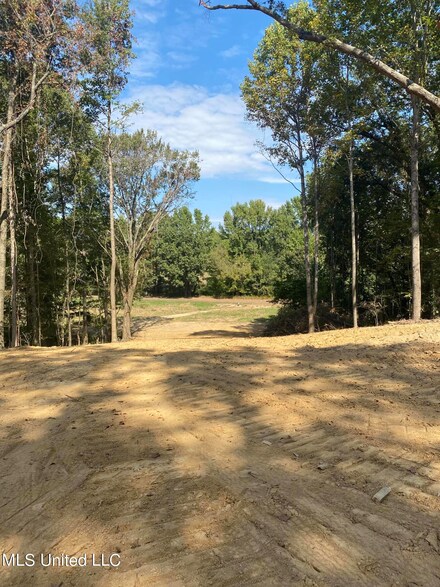 4 Moore Rd, Coldwater, MS 38618
