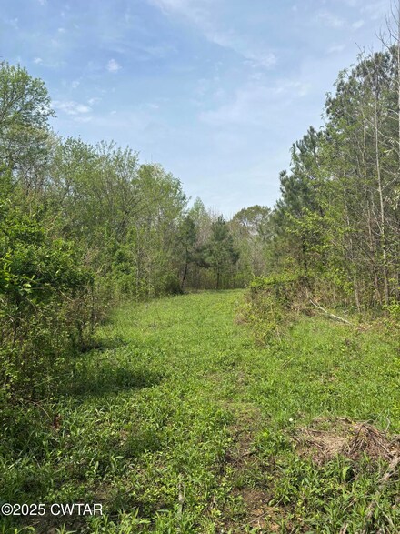 0 Steelman Rd, Halls, TN 38040