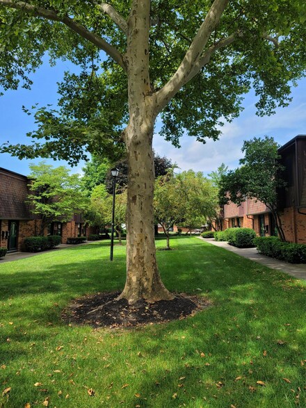 397 Shell Ct E, Columbus, OH 43213