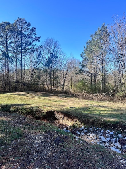 00 Willow Ln, Belmont, MS 38827