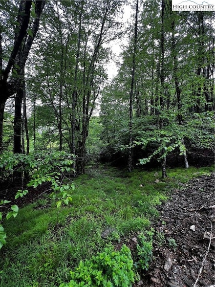 Lot 40 E Cielo Rd, Blowing Rock, NC 28605