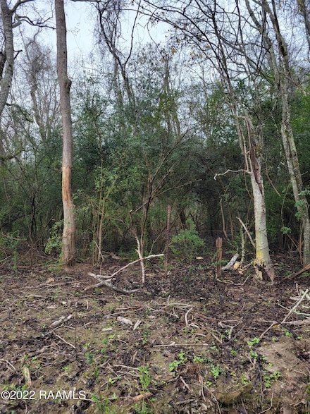 Tbd Wikoff Cove Dr, Church Point, LA 70525