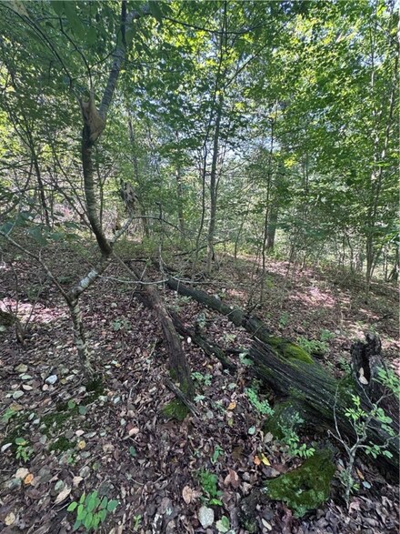 TBD Gretton Ln, Bella Vista, AR 72714