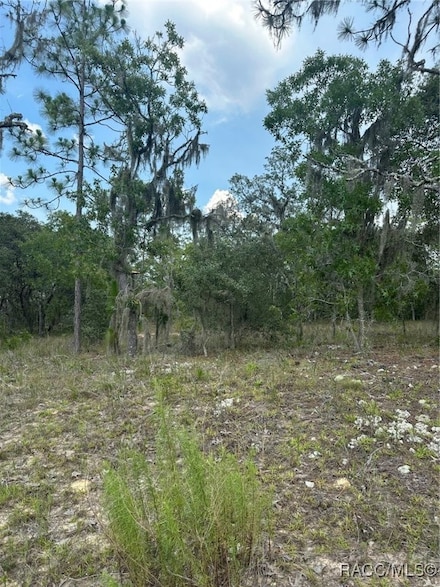 869 N Kensington Ave, Lecanto, FL 34461