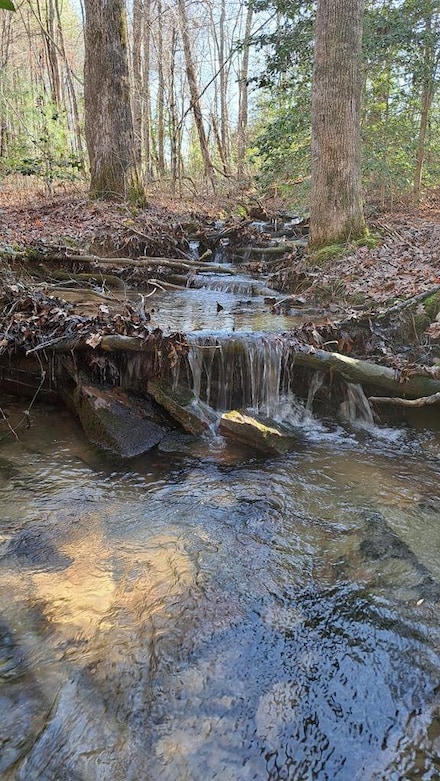 Tract 26 Airport Rd – Piney Creek Acres, Rockwood, TN 37854