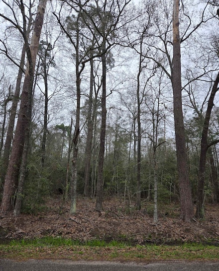 000 N China Rd, Beaumont, TX 77713