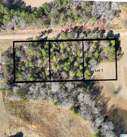 0 Old West Rd, Thorsby, AL 35171