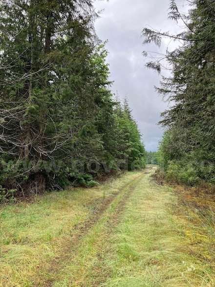 Nwc Us101 and Pete Beck Rd, Quilcene, WA 98376