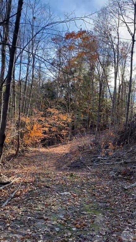 0 - L15 Gorge Rd, Middleburgh, NY 12122