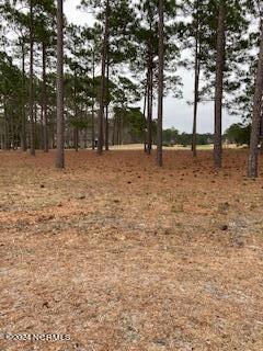 349 Laurel Valley Dr, Shallotte, NC 28470