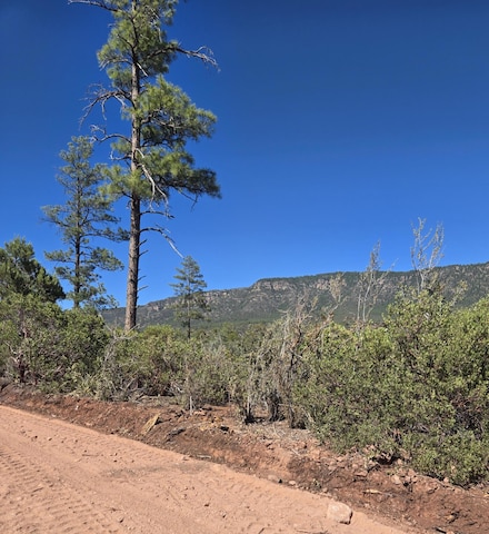 Parcel 1 Arizona 87, Pine, AZ 85544