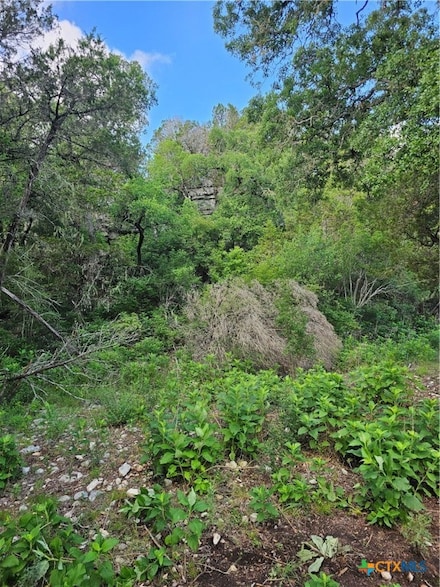 0 Happy Hollow Unit 582437, New Braunfels, TX 78132