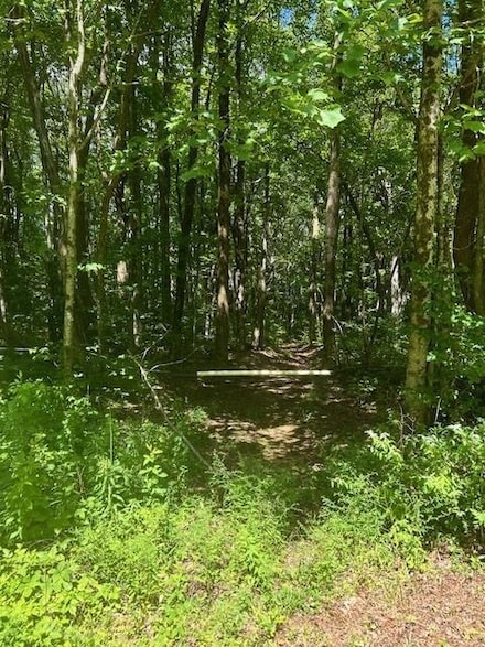 0 Burnt Mountain Rd Unit 7419945, Ellijay, GA 30536