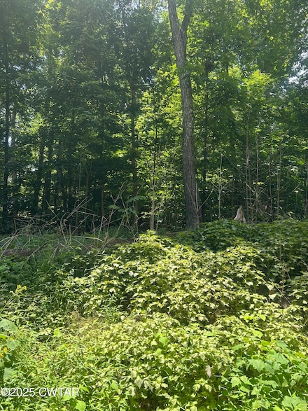 00 Cedar Ln, Sugar Tree, TN 38380