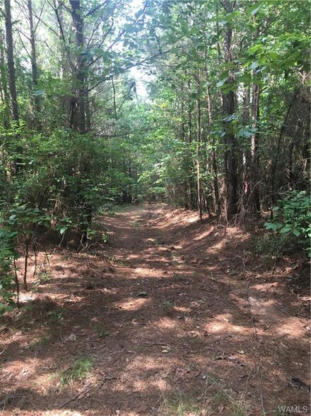 3 Bone Camp Rd, Coker, AL 35452