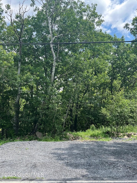 L41 N Mansion Rd, Duane Lake, NY 12056